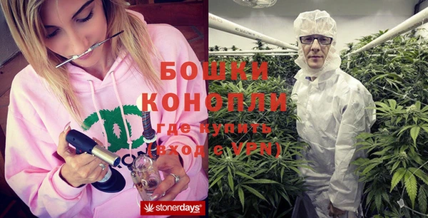 ПСИЛОЦИБИНОВЫЕ ГРИБЫ Беломорск