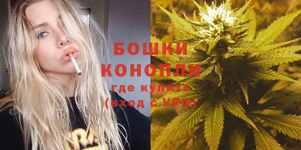 ПСИЛОЦИБИНОВЫЕ ГРИБЫ Беломорск