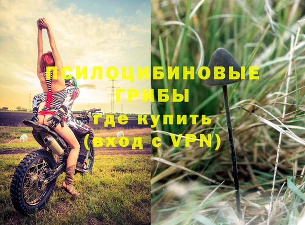 ПСИЛОЦИБИНОВЫЕ ГРИБЫ Беломорск