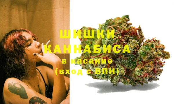 ПСИЛОЦИБИНОВЫЕ ГРИБЫ Беломорск