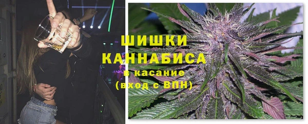 гашик Белоозёрский